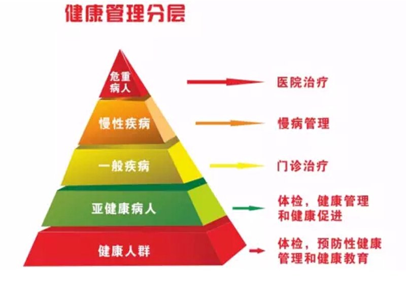 健康管理师 vs 传统医疗:2026年四大核心工作对比与优劣势解析