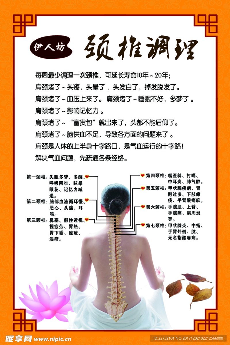 健康管理师报考条件：2026年新手入门与专业进阶的全新格局解读